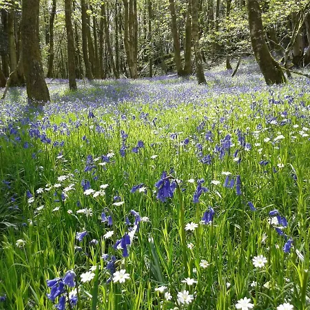 District Log Tatil Evi *