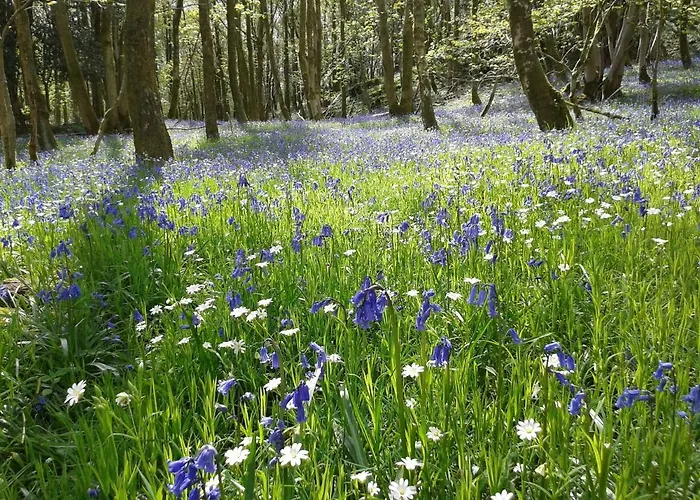 District Log Casa de Férias *